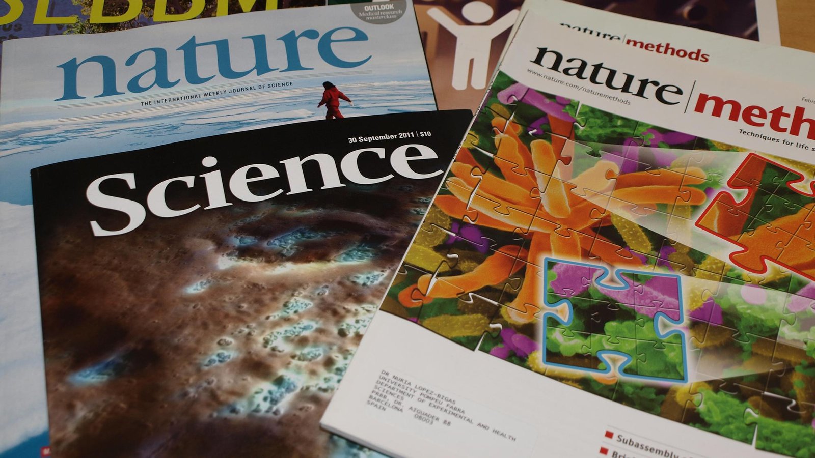 Navigating the Landscape of Research Paper Journals