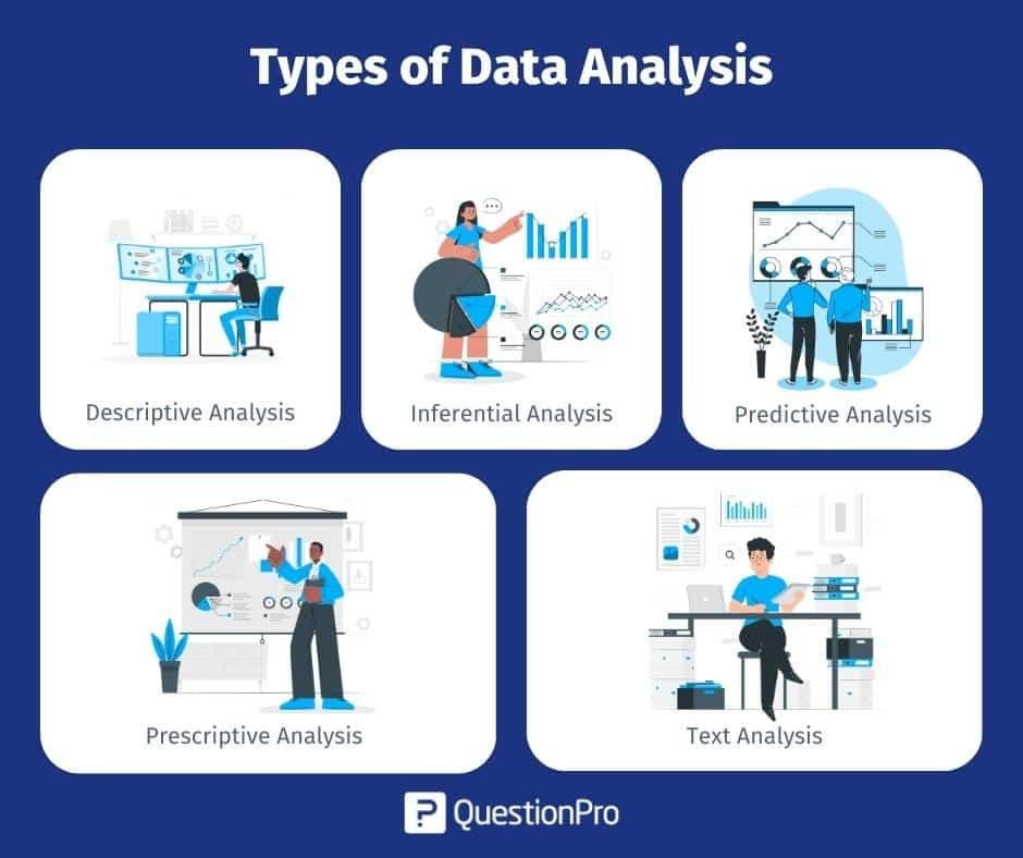 Harnessing Data Analysis for Meaningful Conclusions