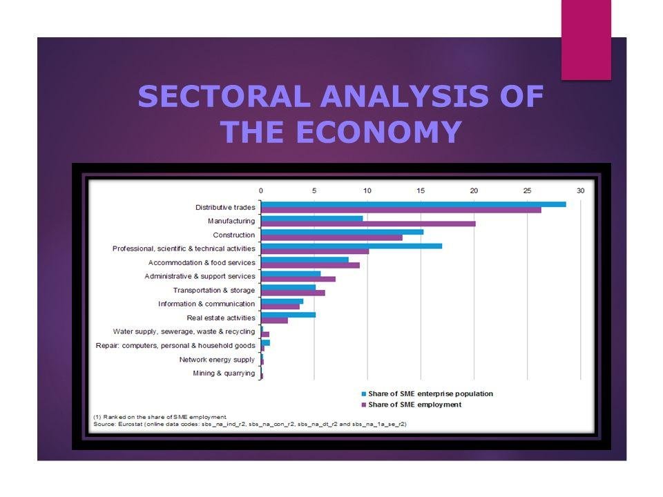 Sectoral Analysis and Market Positioning