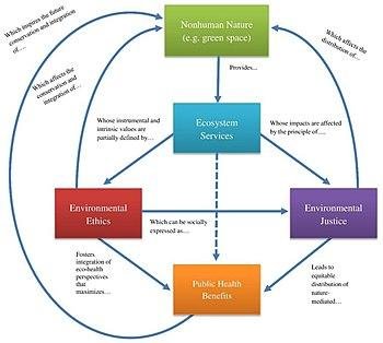 Future Directions for Research in⁤ Environmental Health​ and Air ⁢Quality