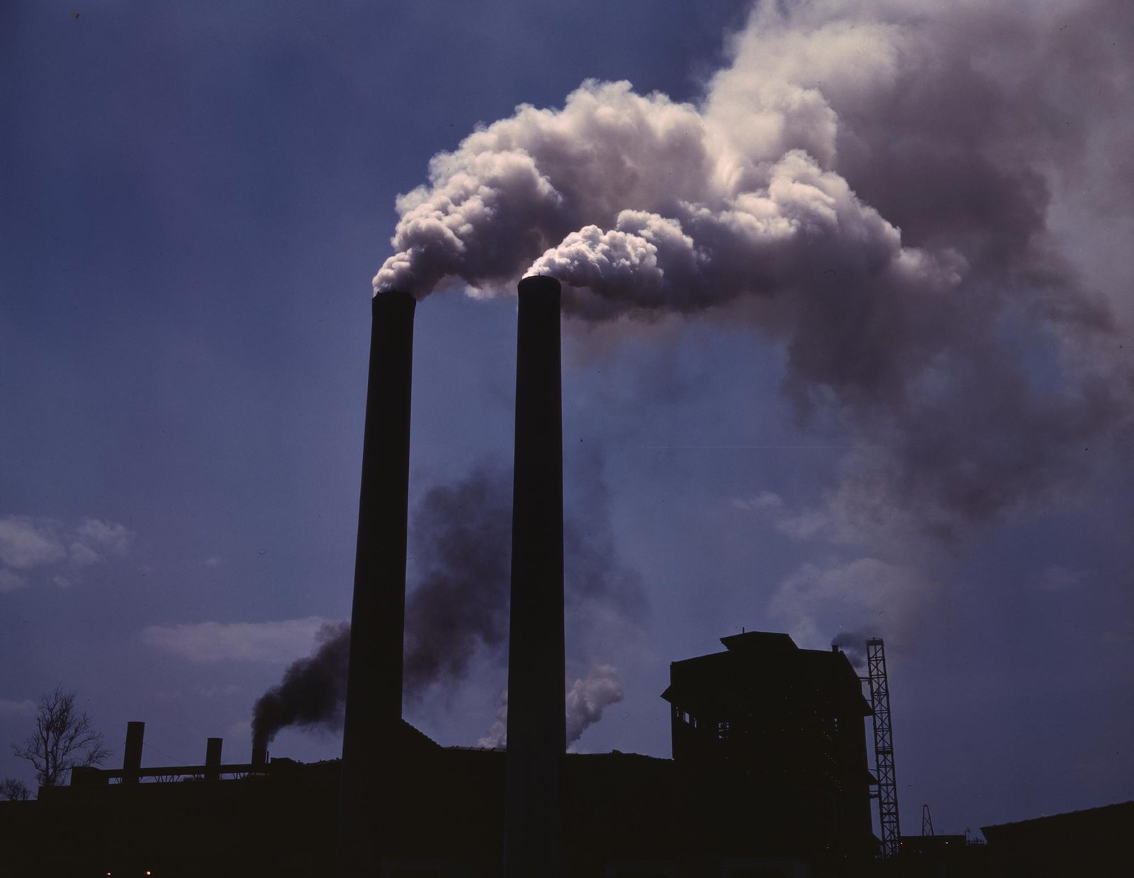 Understanding the Impacts of Air Pollution on Public Health