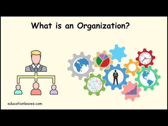 Effective Organization and Structuring: Enhancing ‌Clarity and Impact